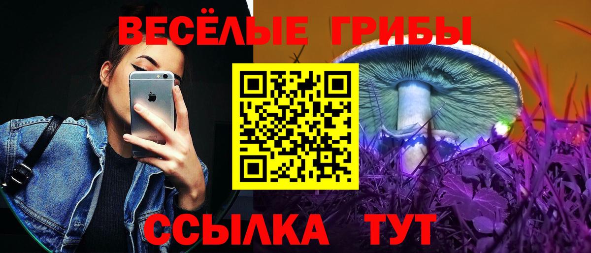 купить наркотики сайты  Галлюциногенные грибы Psilocybe  Псилоцибиновые грибы мицелий  Вход с VPN  Горячий Ключ 